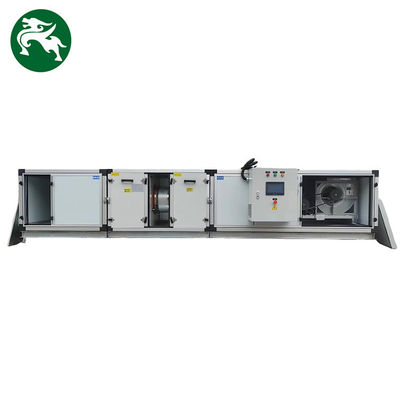 Dehumidifier Rotary Desiccant Berkapasitas Besar Low Dew Point Non-Standard Customization Untuk Pabrik Makanan Minuman